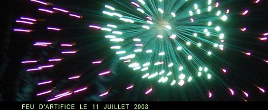 le feu d&rsquo;artifice: le 11 juillet 2008